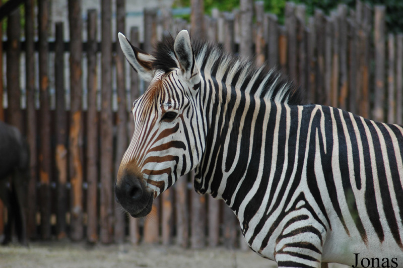 Zoo Landau in der Pfalz