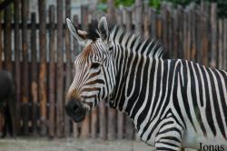 Zoo Landau in der Pfalz