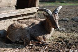 Zoologická zahrada Liberec