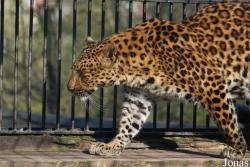 Zoologická zahrada Liberec