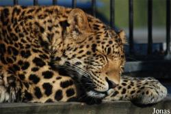 Zoologická zahrada Liberec
