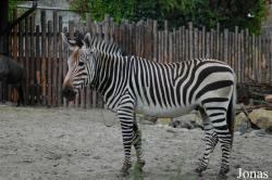 Zoo Landau in der Pfalz