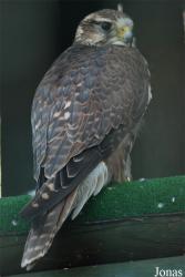 Zoologická zahrada Liberec