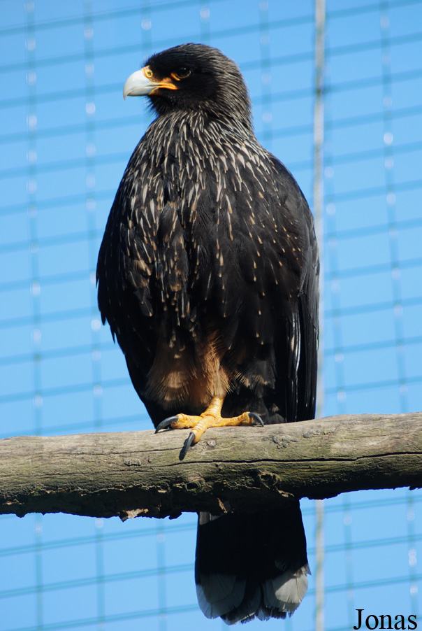 Zoologická zahrada Liberec