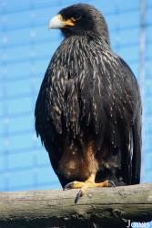 Zoologická zahrada Liberec