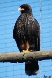 Zoologická zahrada Liberec