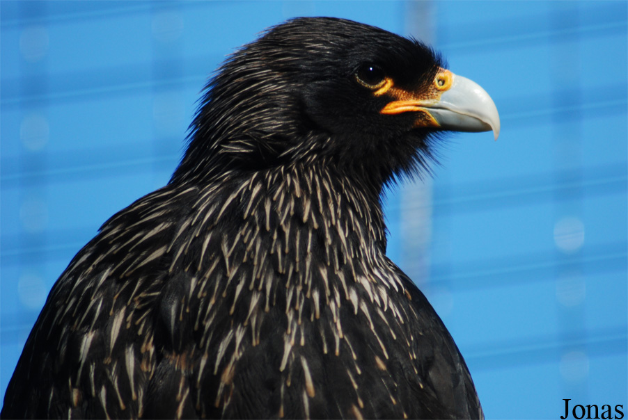 Zoologická zahrada Liberec