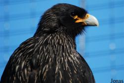 Zoologická zahrada Liberec