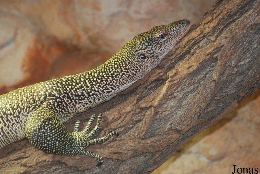 Zoologická zahrada Liberec
