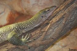Zoologická zahrada Liberec