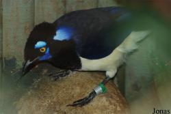 Zoologická zahrada Liberec