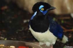 Zoologická zahrada Liberec