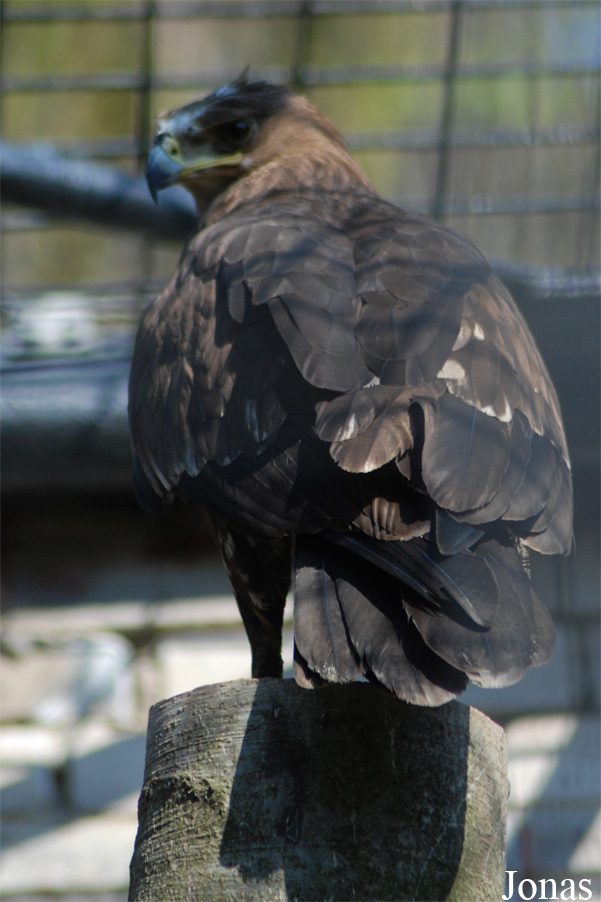 Zoologická zahrada Liberec