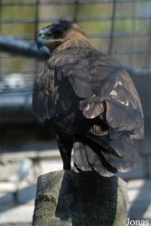 Zoologická zahrada Liberec