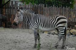Zoo Landau in der Pfalz