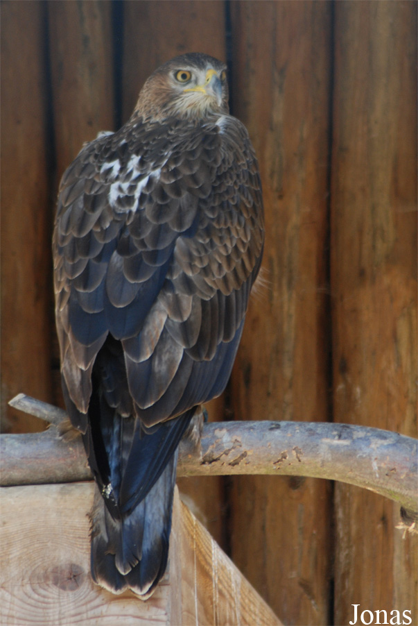 Zoologická zahrada Liberec