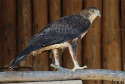 Zoologická zahrada Liberec
