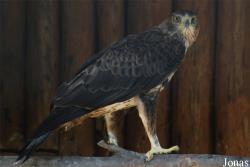Zoologická zahrada Liberec