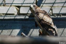 Zoologická zahrada Liberec