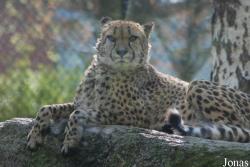 Zoologická zahrada Liberec