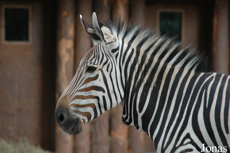 Zoo Landau in der Pfalz