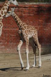 Zoologická zahrada Liberec