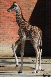 Zoologická zahrada Liberec