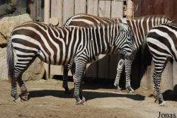 Zoologická zahrada Liberec