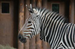 Zoo Landau in der Pfalz