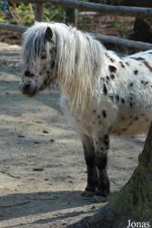 Zoologická zahrada Liberec