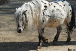 Zoologická zahrada Liberec
