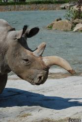 Zoo Dvůr Králové