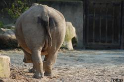 Zoo Dvůr Králové