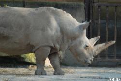 Zoo Dvůr Králové