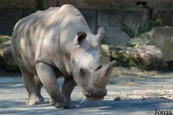 Zoo Dvůr Králové