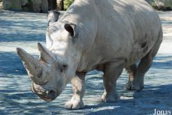 Zoo Dvůr Králové