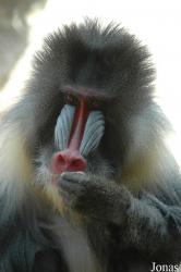 Zoo d'Amnéville