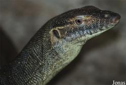 Zoo Dvůr Králové