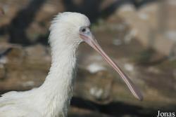 Zoo Dvůr Králové