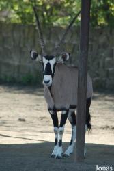 Zoo Dvůr Králové