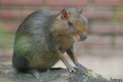 Zoo Dortmund