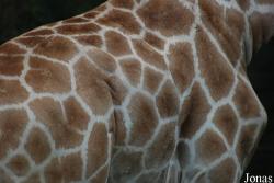 Zoo Dortmund