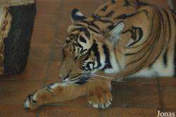 Zoo Dortmund