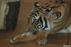 Zoo Dortmund