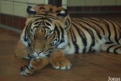 Zoo Dortmund