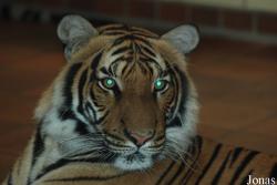 Zoo Dortmund