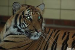 Zoo Dortmund