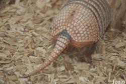 Zoo Dortmund