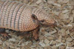 Zoo Dortmund