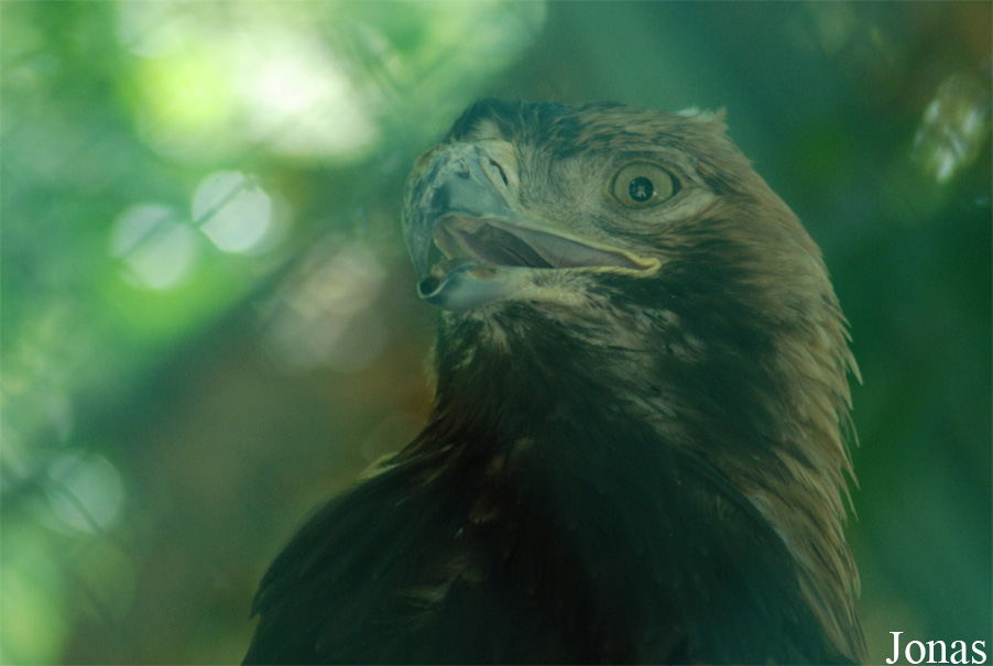 Grădina Zoologică Bucuresti